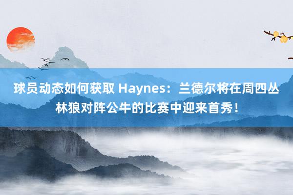 球员动态如何获取 Haynes：兰德尔将在周四丛林狼对阵公牛的比赛中迎来首秀！