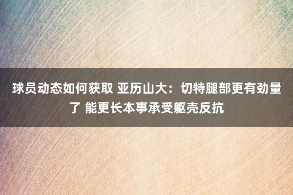 球员动态如何获取 亚历山大：切特腿部更有劲量了 能更长本事承受躯壳反抗