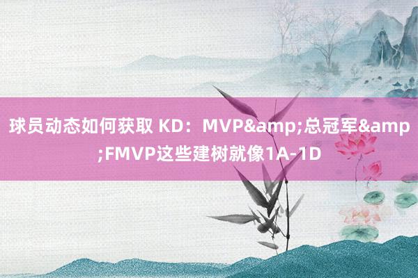 球员动态如何获取 KD：MVP&总冠军&FMVP这些建树就像1A-1D