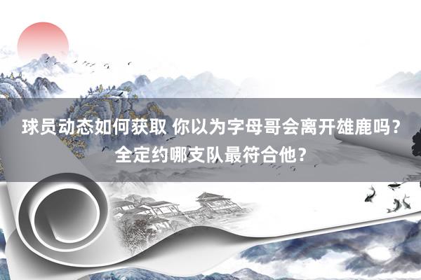 球员动态如何获取 你以为字母哥会离开雄鹿吗？全定约哪支队最符合他？