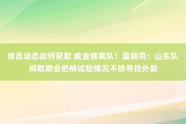 球员动态如何获取 威金顿离队！夏晓司：山东队间歇期会把柄试验情况不绝寻找外助