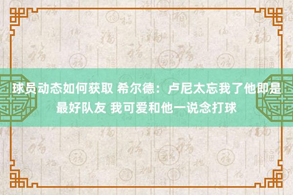 球员动态如何获取 希尔德：卢尼太忘我了他即是最好队友 我可爱和他一说念打球