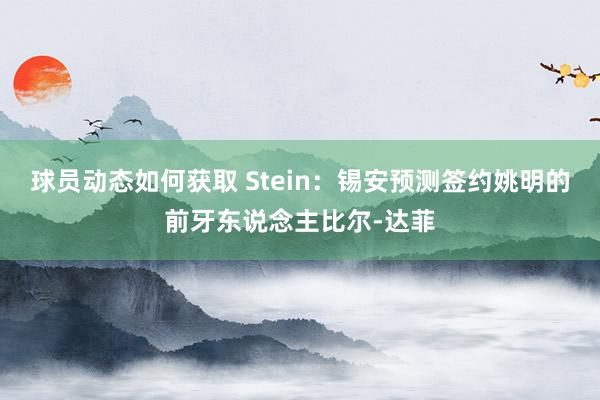 球员动态如何获取 Stein：锡安预测签约姚明的前牙东说念主比尔-达菲