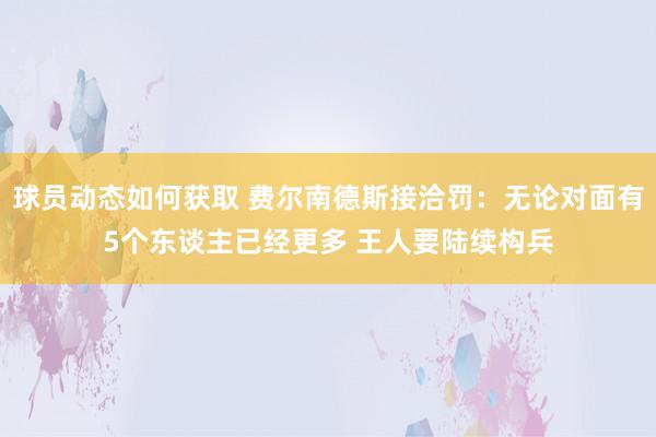 球员动态如何获取 费尔南德斯接洽罚：无论对面有5个东谈主已经更多 王人要陆续构兵