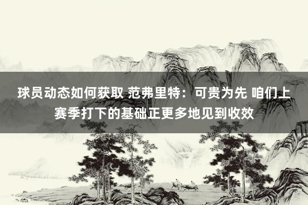 球员动态如何获取 范弗里特：可贵为先 咱们上赛季打下的基础正更多地见到收效