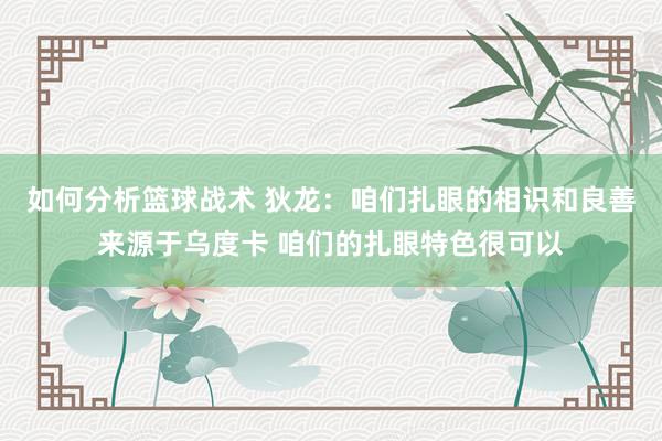 如何分析篮球战术 狄龙：咱们扎眼的相识和良善来源于乌度卡 咱们的扎眼特色很可以