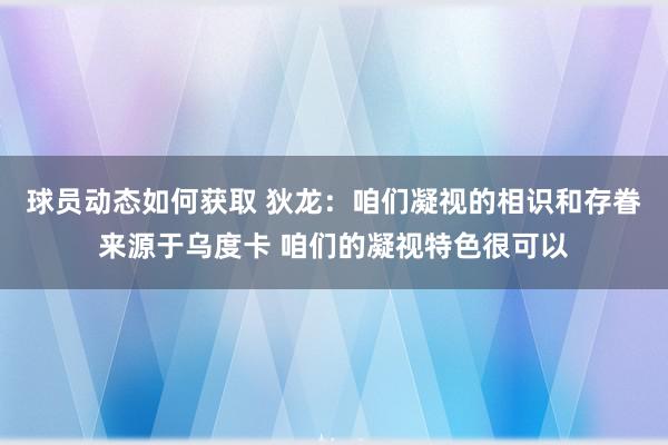 球员动态如何获取 狄龙：咱们凝视的相识和存眷来源于乌度卡 咱们的凝视特色很可以