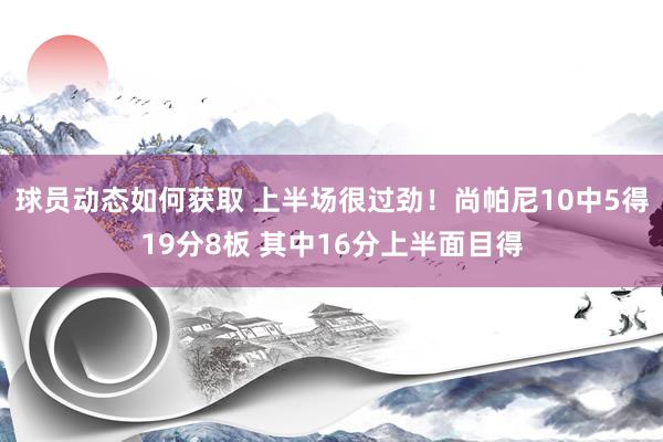 球员动态如何获取 上半场很过劲！尚帕尼10中5得19分8板 其中16分上半面目得