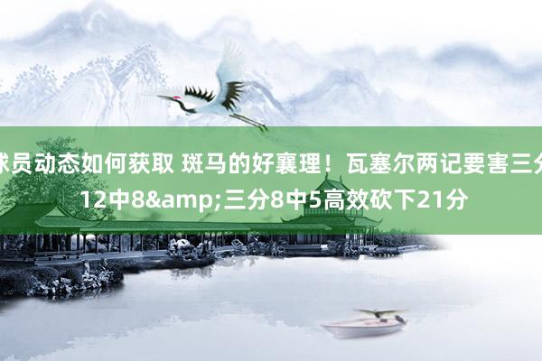 球员动态如何获取 斑马的好襄理！瓦塞尔两记要害三分 12中8&三分8中5高效砍下21分