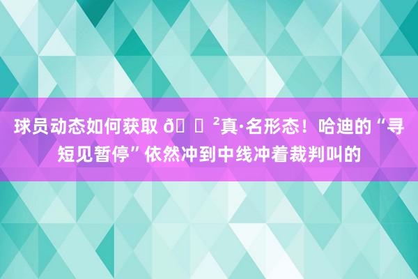 球员动态如何获取 😲真·名形态！哈迪的“寻短见暂停”依然冲到中线冲着裁判叫的