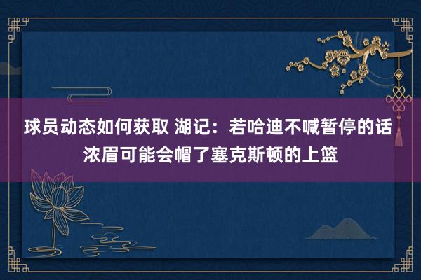 球员动态如何获取 湖记：若哈迪不喊暂停的话 浓眉可能会帽了塞克斯顿的上篮