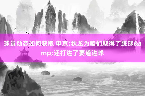 球员动态如何获取 申京:狄龙为咱们取得了跳球&还打进了要道进球