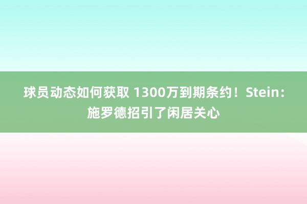 球员动态如何获取 1300万到期条约！Stein：施罗德招引了闲居关心