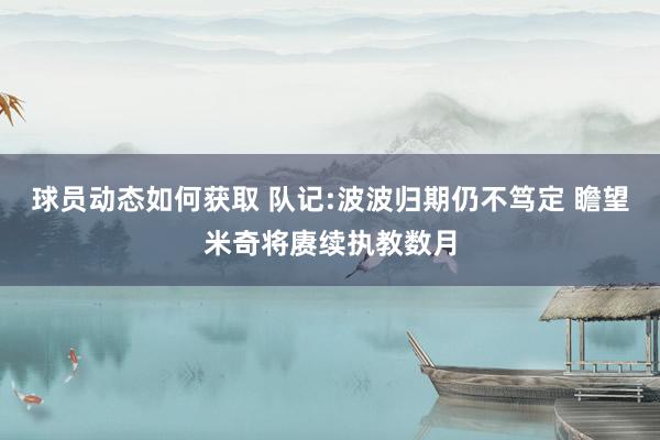 球员动态如何获取 队记:波波归期仍不笃定 瞻望米奇将赓续执教数月