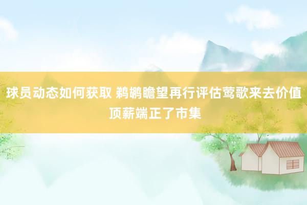 球员动态如何获取 鹈鹕瞻望再行评估莺歌来去价值 顶薪端正了市集