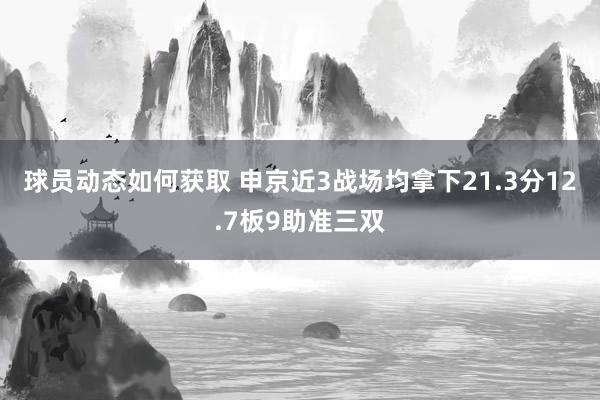 球员动态如何获取 申京近3战场均拿下21.3分12.7板9助准三双