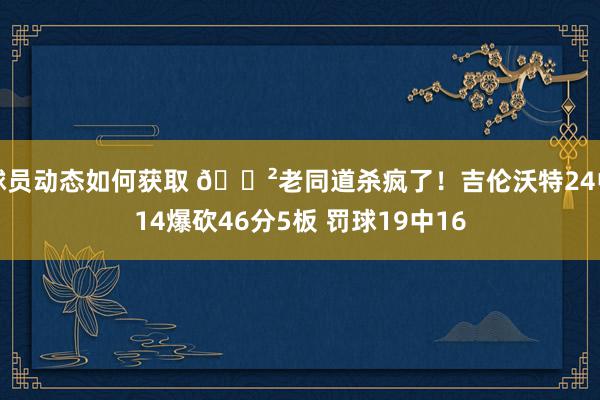 球员动态如何获取 😲老同道杀疯了！吉伦沃特24中14爆砍46分5板 罚球19中16