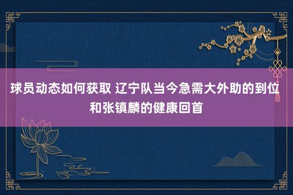 球员动态如何获取 辽宁队当今急需大外助的到位 和张镇麟的健康回首