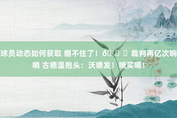 球员动态如何获取 绷不住了！😂裁判再亿次响哨 古德温抱头：沃德发！哦买噶！