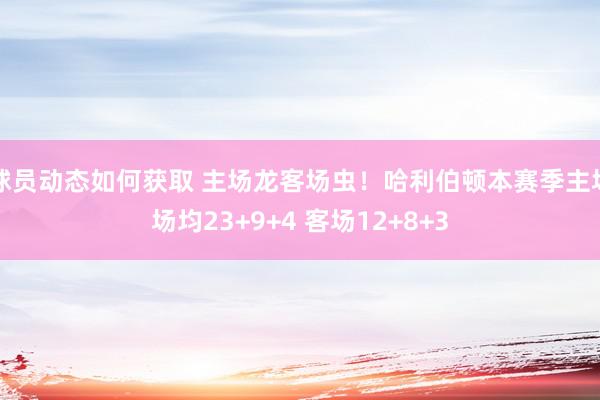 球员动态如何获取 主场龙客场虫！哈利伯顿本赛季主场场均23+9+4 客场12+8+3