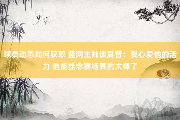 球员动态如何获取 篮网主帅谈夏普：我心爱他的活力 他能挂念赛场真的太棒了