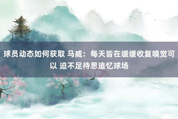 球员动态如何获取 马威：每天皆在缓缓收复嗅觉可以 迫不足待思追忆球场