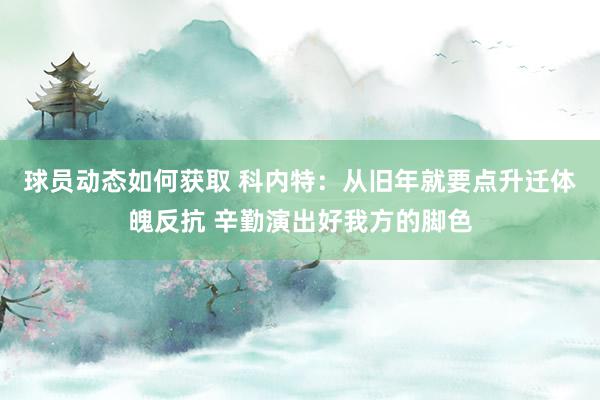 球员动态如何获取 科内特：从旧年就要点升迁体魄反抗 辛勤演出好我方的脚色