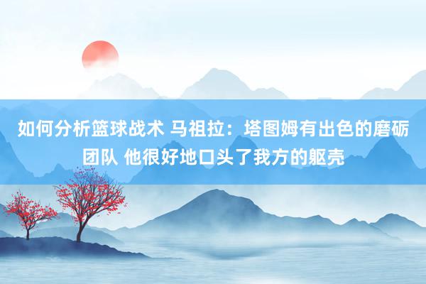 如何分析篮球战术 马祖拉：塔图姆有出色的磨砺团队 他很好地口头了我方的躯壳