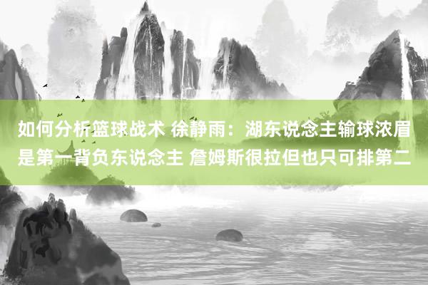 如何分析篮球战术 徐静雨：湖东说念主输球浓眉是第一背负东说念主 詹姆斯很拉但也只可排第二