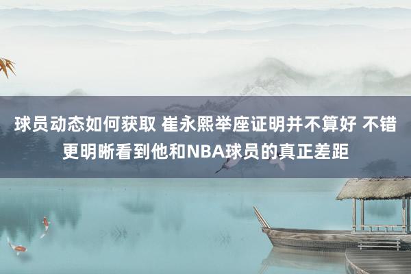 球员动态如何获取 崔永熙举座证明并不算好 不错更明晰看到他和NBA球员的真正差距