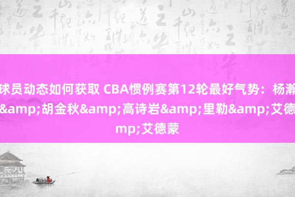 球员动态如何获取 CBA惯例赛第12轮最好气势：杨瀚森&胡金秋&高诗岩&里勒&艾德蒙