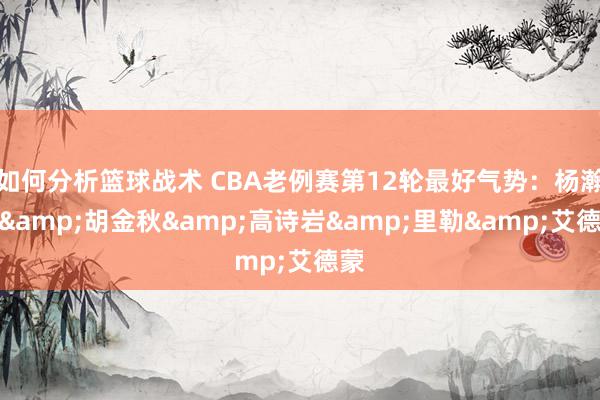 如何分析篮球战术 CBA老例赛第12轮最好气势：杨瀚森&胡金秋&高诗岩&里勒&艾德蒙