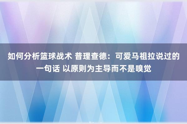 如何分析篮球战术 普理查德：可爱马祖拉说过的一句话 以原则为主导而不是嗅觉