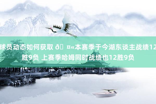 球员动态如何获取 🤫本赛季于今湖东谈主战绩12胜9负 上赛季哈姆同时战绩也12胜9负