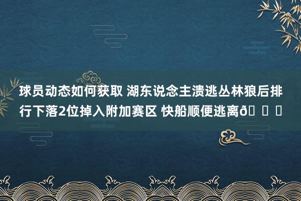 球员动态如何获取 湖东说念主溃逃丛林狼后排行下落2位掉入附加赛区 快船顺便逃离😋