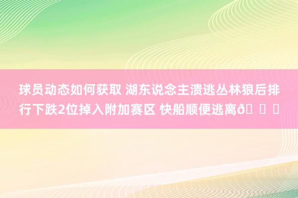 球员动态如何获取 湖东说念主溃逃丛林狼后排行下跌2位掉入附加赛区 快船顺便逃离😋