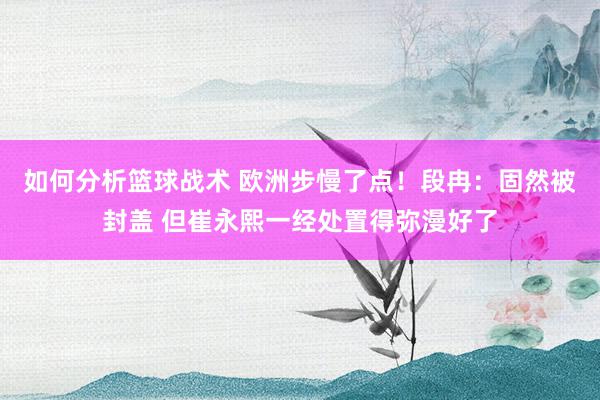 如何分析篮球战术 欧洲步慢了点！段冉：固然被封盖 但崔永熙一经处置得弥漫好了