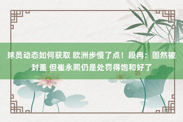 球员动态如何获取 欧洲步慢了点！段冉：固然被封盖 但崔永熙仍是处罚得饱和好了