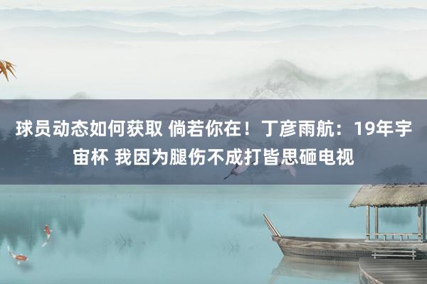 球员动态如何获取 倘若你在！丁彦雨航：19年宇宙杯 我因为腿伤不成打皆思砸电视