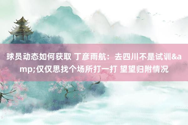 球员动态如何获取 丁彦雨航：去四川不是试训&仅仅思找个场所打一打 望望归附情况