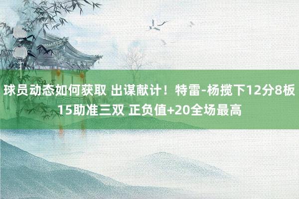 球员动态如何获取 出谋献计！特雷-杨揽下12分8板15助准三双 正负值+20全场最高