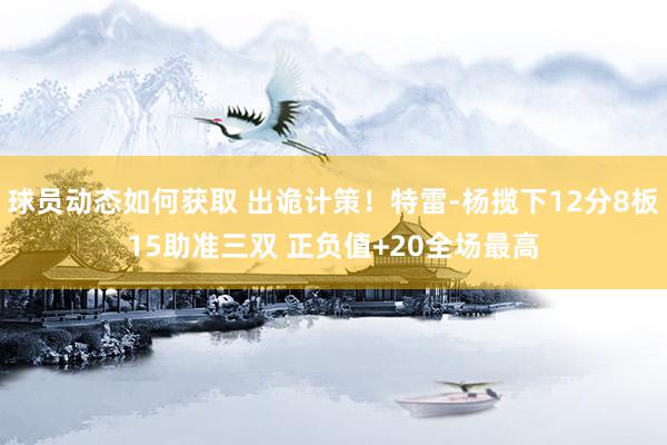 球员动态如何获取 出诡计策！特雷-杨揽下12分8板15助准三双 正负值+20全场最高