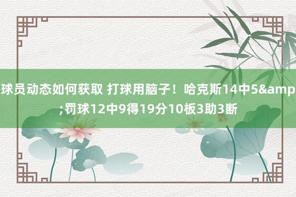 球员动态如何获取 打球用脑子！哈克斯14中5&罚球12中9得19分10板3助3断