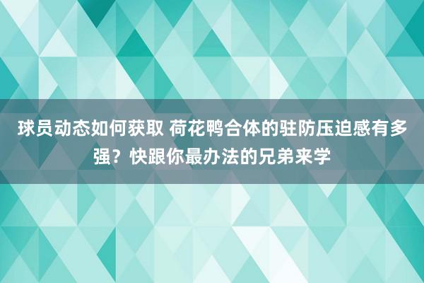 球员动态如何获取 荷花鸭合体的驻防压迫感有多强？快跟你最办法的兄弟来学