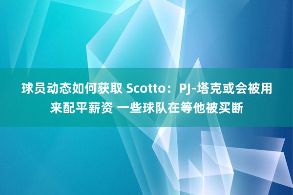 球员动态如何获取 Scotto：PJ-塔克或会被用来配平薪资 一些球队在等他被买断