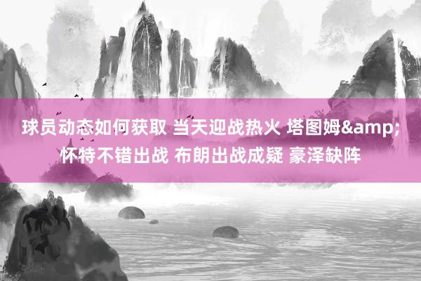 球员动态如何获取 当天迎战热火 塔图姆&怀特不错出战 布朗出战成疑 豪泽缺阵