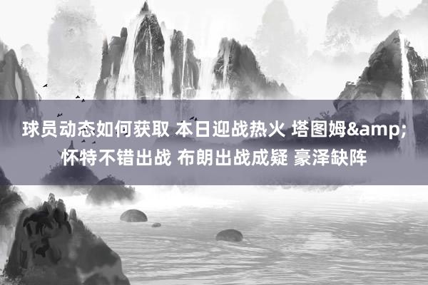 球员动态如何获取 本日迎战热火 塔图姆&怀特不错出战 布朗出战成疑 豪泽缺阵