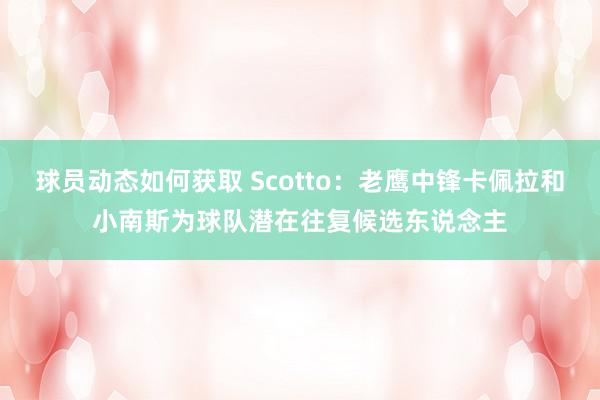 球员动态如何获取 Scotto：老鹰中锋卡佩拉和小南斯为球队潜在往复候选东说念主