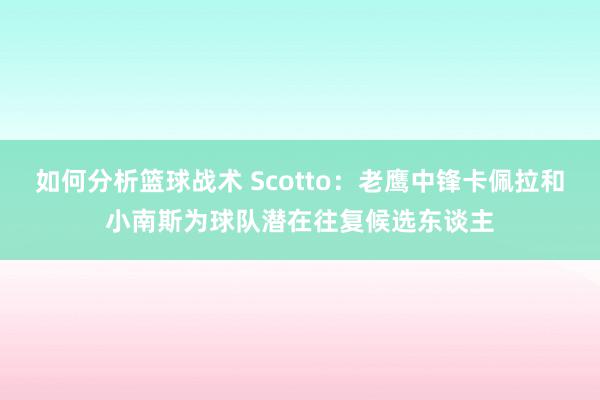 如何分析篮球战术 Scotto：老鹰中锋卡佩拉和小南斯为球队潜在往复候选东谈主