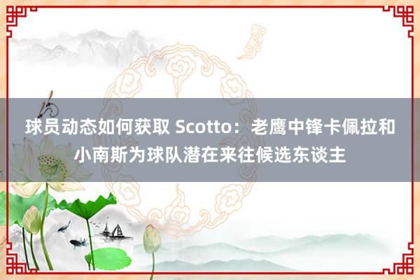 球员动态如何获取 Scotto：老鹰中锋卡佩拉和小南斯为球队潜在来往候选东谈主